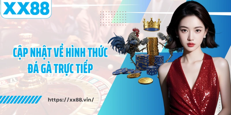 Cập nhật về hình thức đá gà trực tiếp 