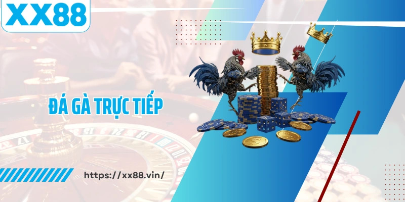 Đá Gà Trực Tiếp